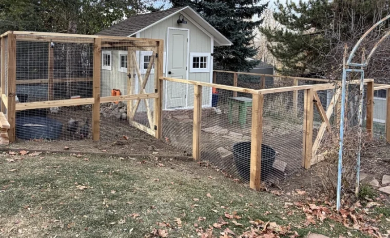 How to Install a Dog Fence A Complete Guide for Pet Owners